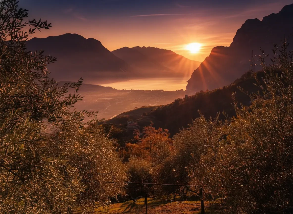Bio-Bauernhof Maso Convento in Tenno - Nachhaltiger Wein- und Olivenanbau im Trentino nahe des Gardasees